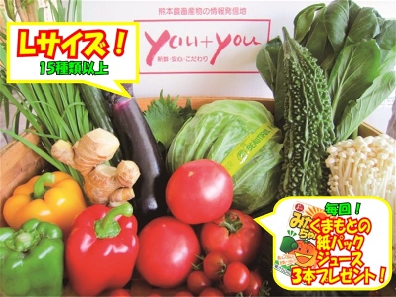 《定期購入Ｌサイズ》くまもと野菜もりもりＢＯＸ