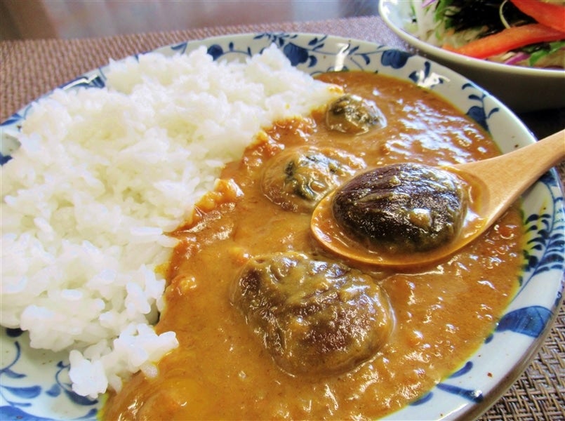 【ご家庭用】豊後きのこカレー10袋セット