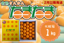 きんかんたまたま　化粧箱1kg（2月以降発送）