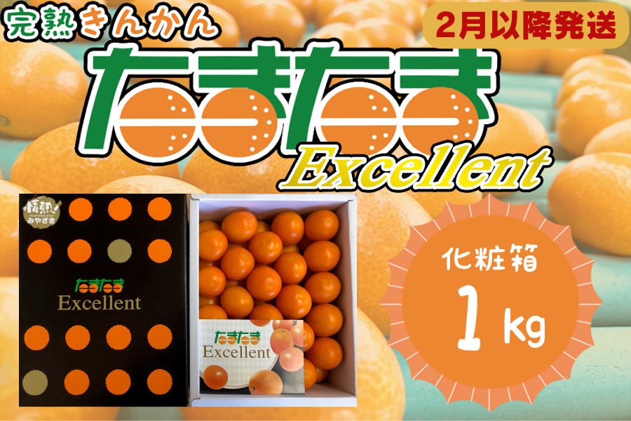 たまたまEXCELLENT　化粧箱1kg（2月以降発送）