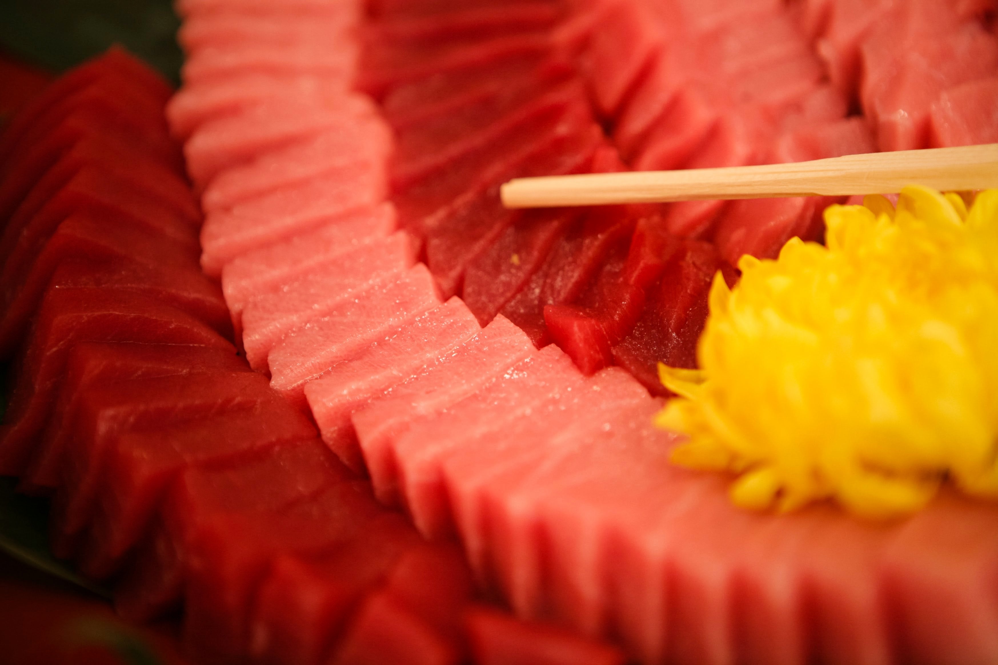 神奈川県産 本まぐろ・めばちまぐろ食べ比べセット